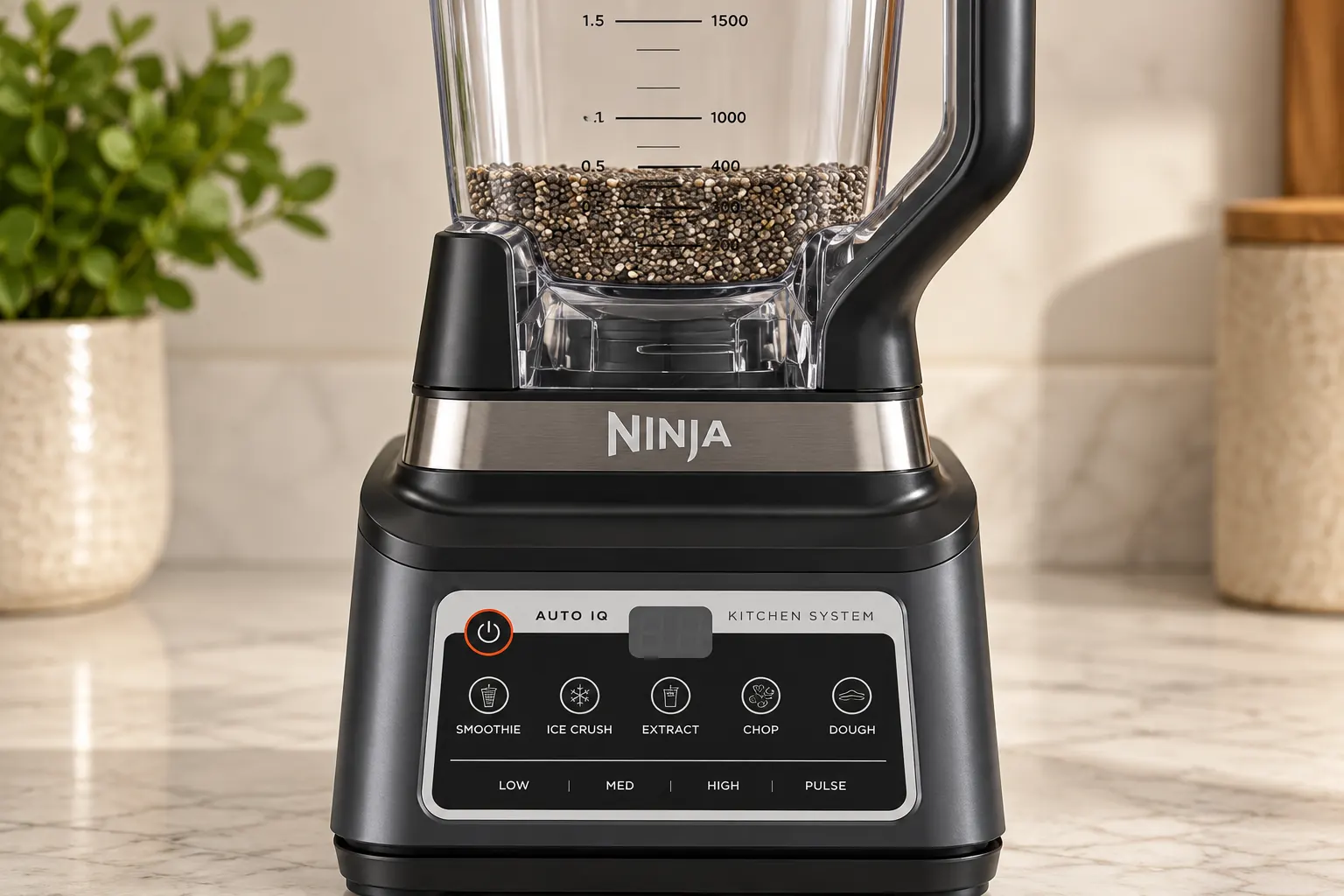 Whole chia seeds in a Ninja BN801 pitcher ready to grind